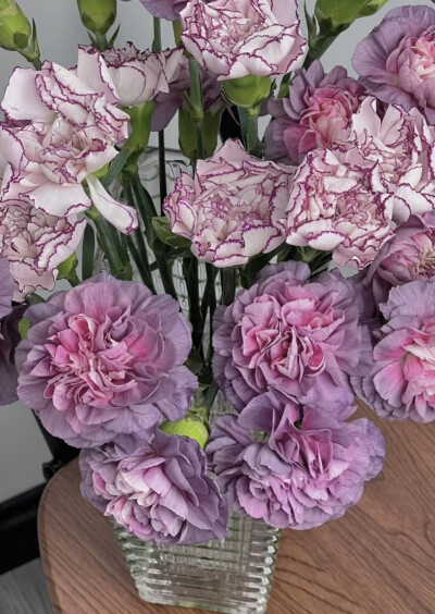 壁纸【鲜花】春天的色彩
