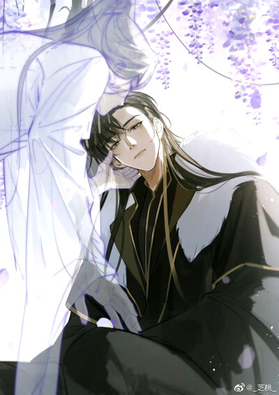 二哈和他的白猫师尊