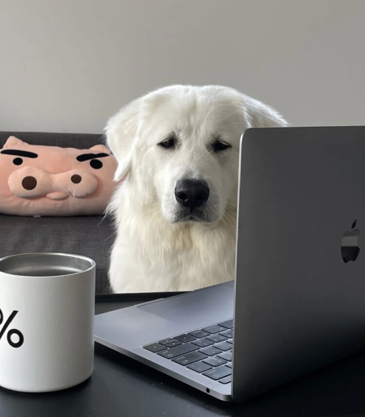 怎么还要上班啊——