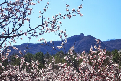 八达岭长城