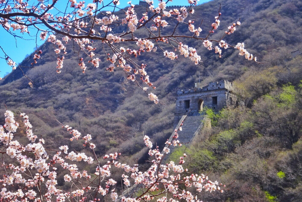 八达岭长城