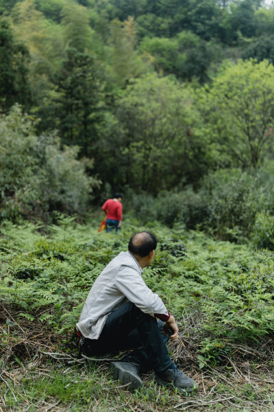 梅菜笋干的香味你闻到了吗
摄影：洪小漩
出镜：家人
这是一次特别的聚会。有心心念念一年，说想去看看笋干梅菜制作流程的羽希。有对外孙女思念成疾最后驱车来上虞把孩子“掳走”的老爸老妈。
爸爸妈妈一早从浦江…