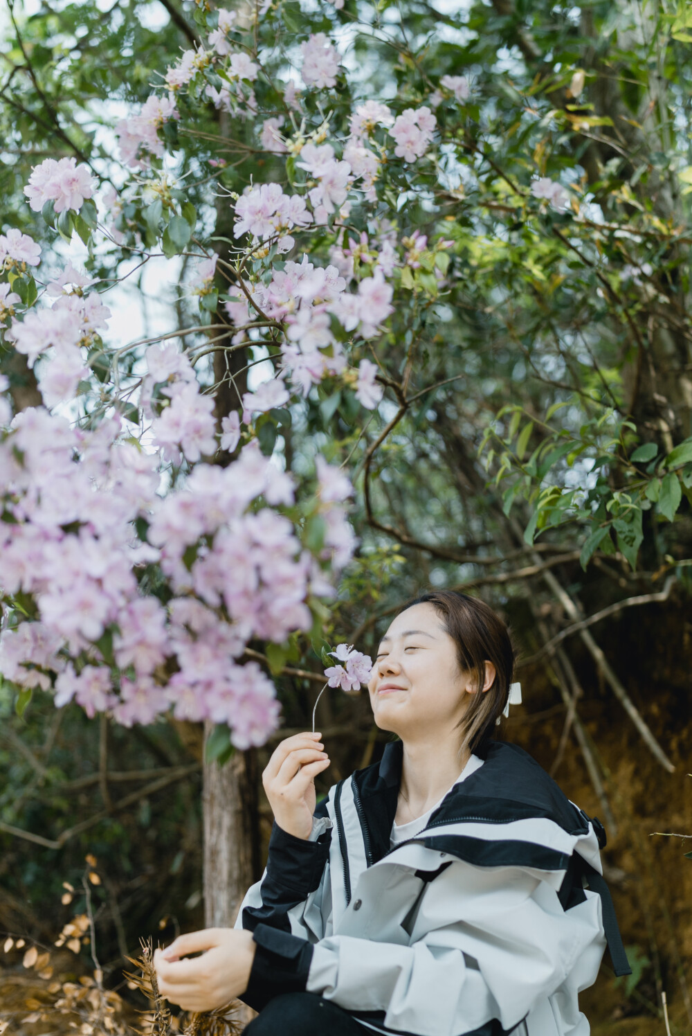 梅菜笋干的香味你闻到了吗
摄影：洪小漩
出镜：家人
这是一次特别的聚会。有心心念念一年，说想去看看笋干梅菜制作流程的羽希。有对外孙女思念成疾最后驱车来上虞把孩子“掳走”的老爸老妈。
爸爸妈妈一早从浦江出发，我们则一早赶到镇上买菜。最后，在前后脚不差
三分钟的时间内同时抵达村口。
因为修路的原因，只能将车子停在距离家稍远处，由阿科借了三轮车将父母带来的各种伴手礼以及想兜风的菲比载回家。我们则慢慢走着。
父母一边走一边感叹村里漫山遍野的竹子，以及拔地而起的春笋。到了家门口，越靠近爷爷奶奶家，梅菜笋干的香味越是冲着鼻子往里钻。
我带着爸妈往山坡上散步，妈妈和羽希邂逅一片蕨菜，不亦乐乎