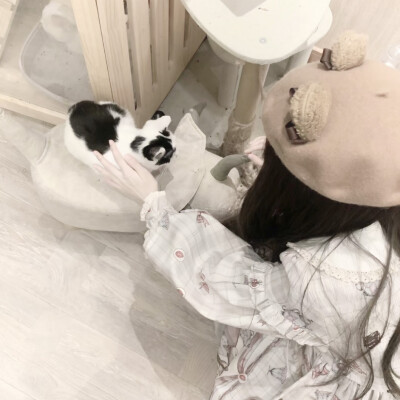 动物情头