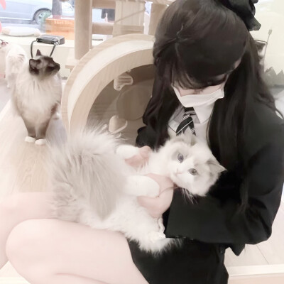 动物情头