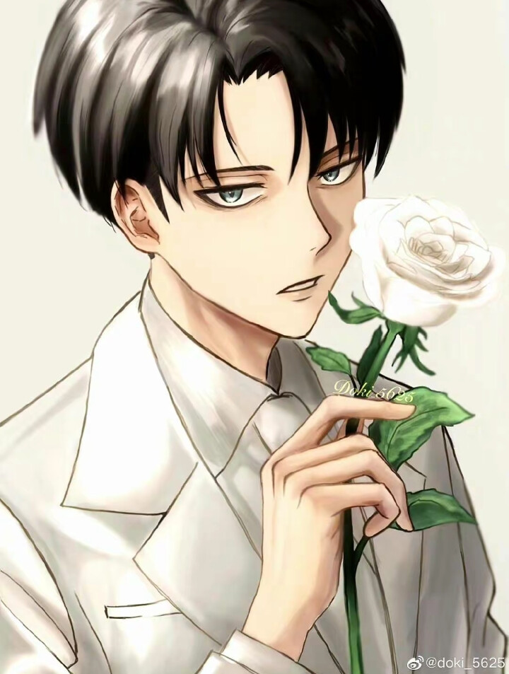 Levi、mikasa、希斯特利亚、埃尔文、韩吉桑