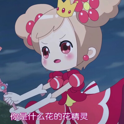 小花仙
