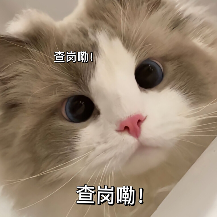 搞怪表情包赞评论更多