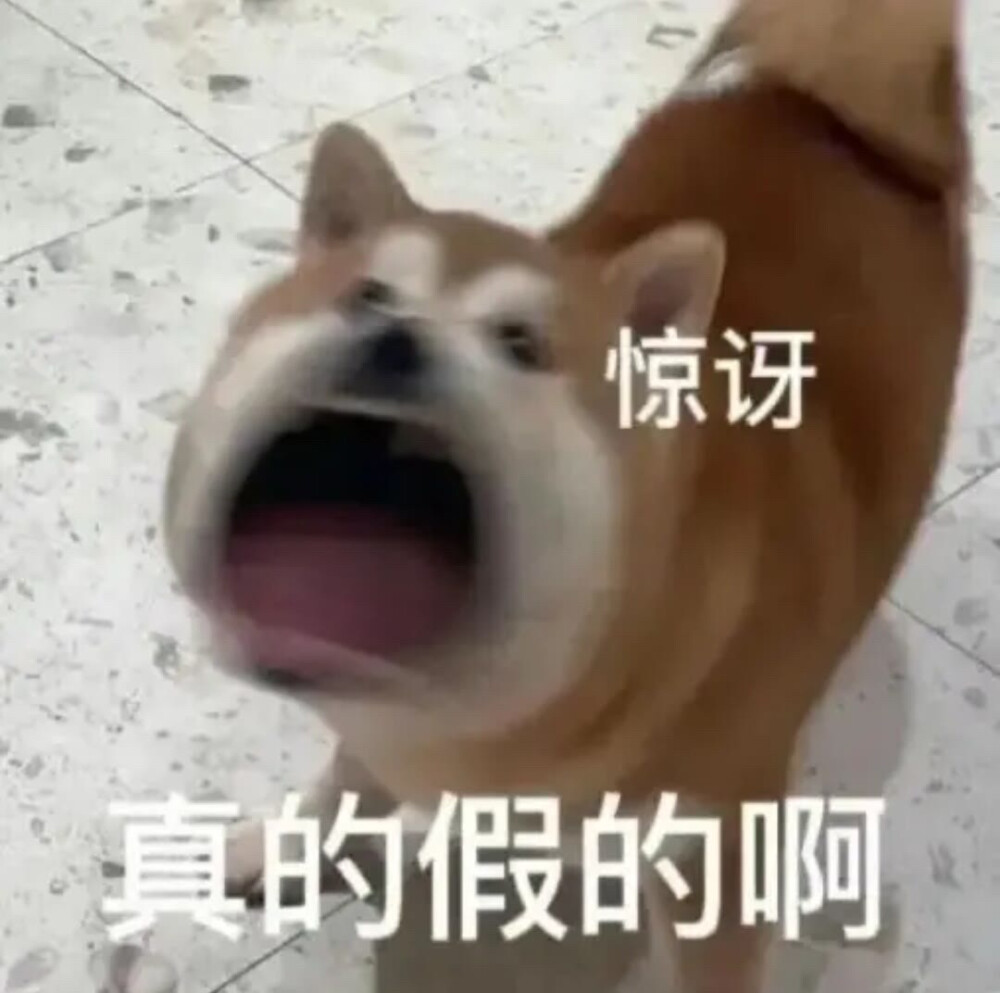 自用表情包 来源快乐小手
