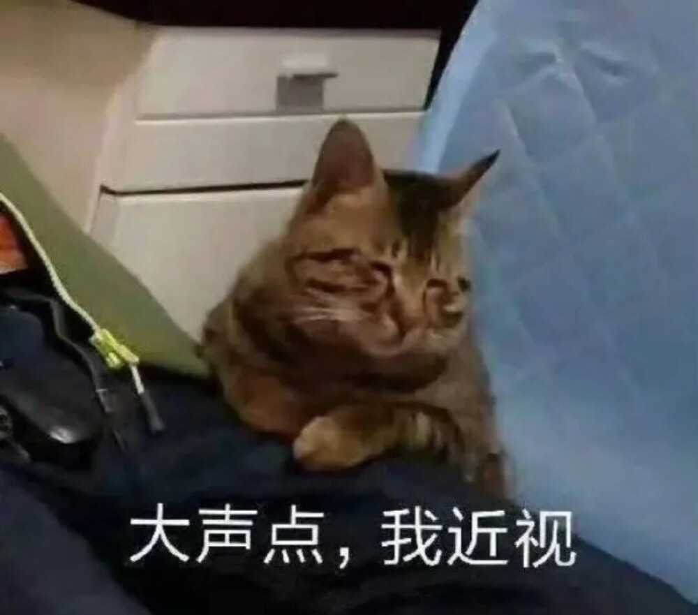 自用表情包 来源快乐小手