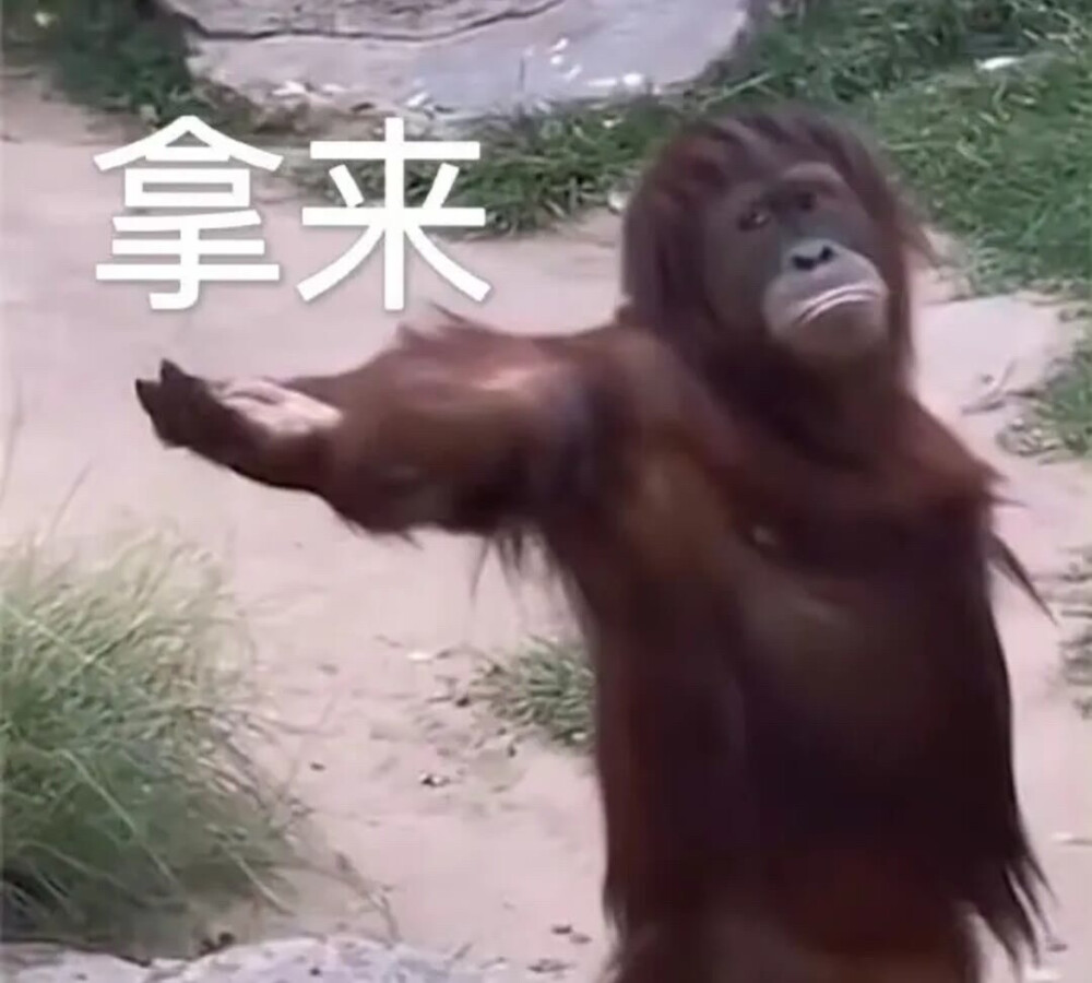 苦b的世界