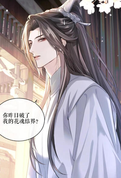 二哈和他的白猫师尊