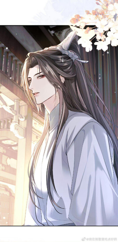 二哈和他的白猫师尊