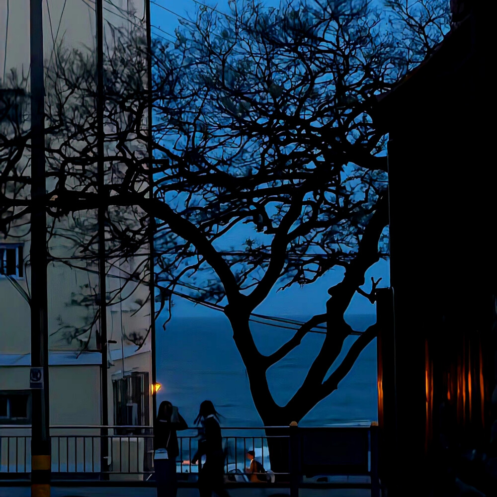 ins背景图
©wb-木夕木