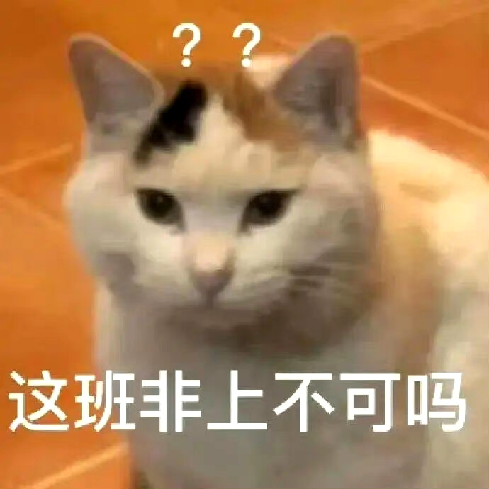 搞笑表情包