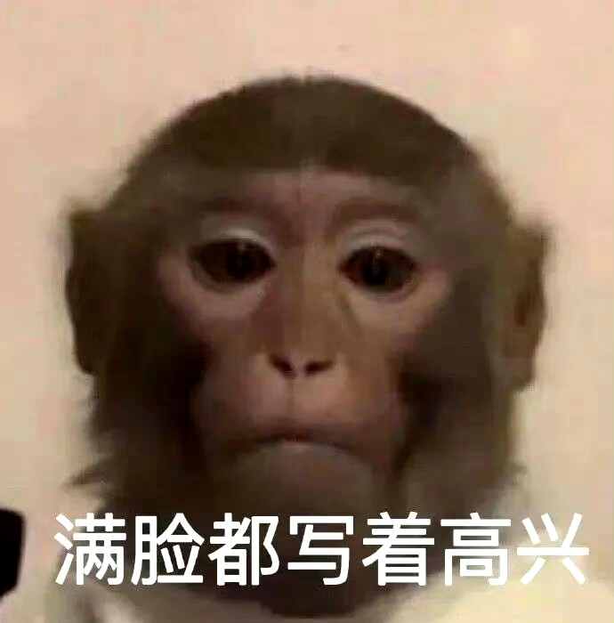 搞笑表情包