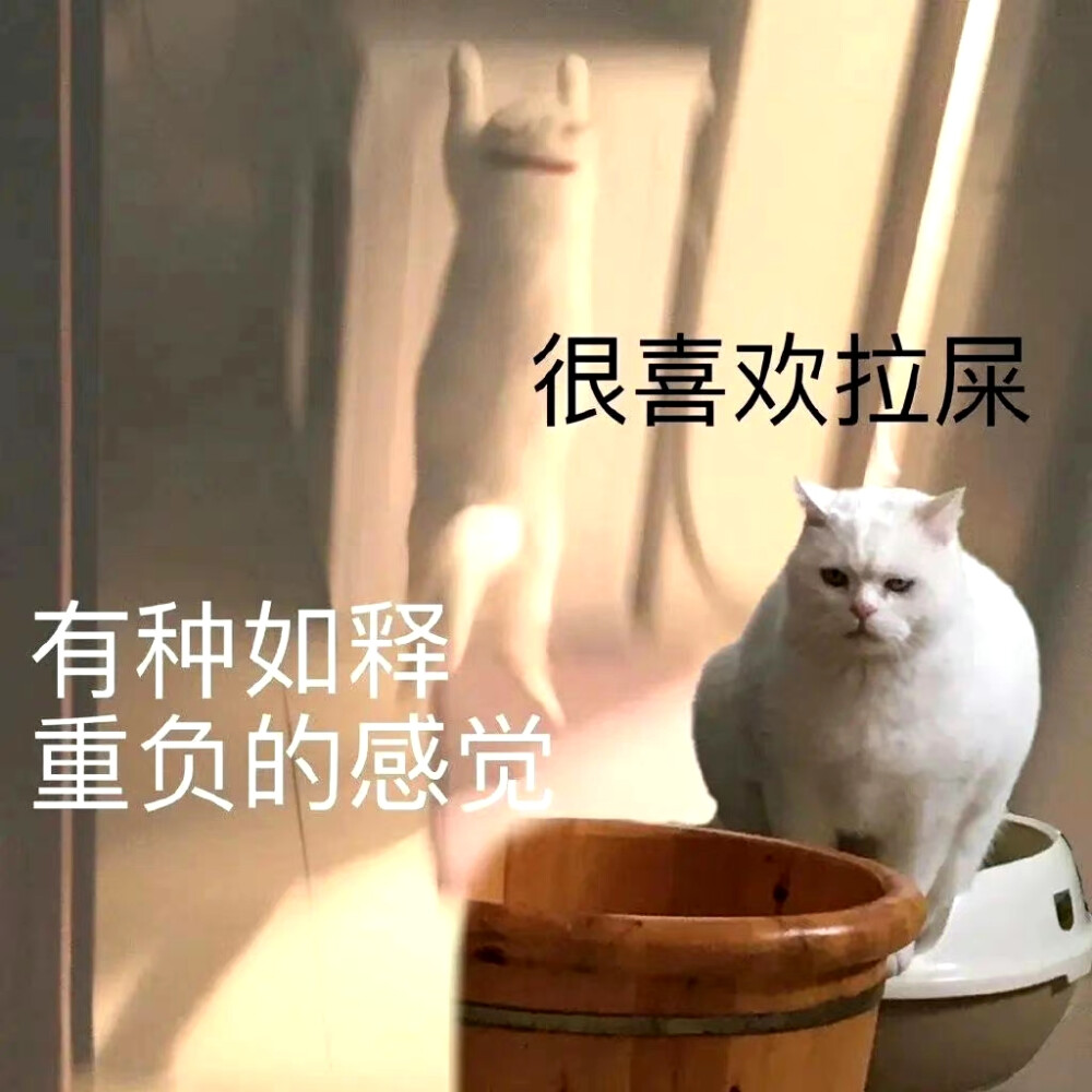 搞笑表情包