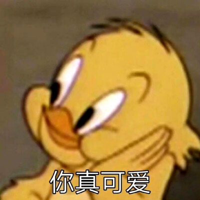 搞笑表情包