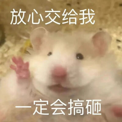 搞笑表情包