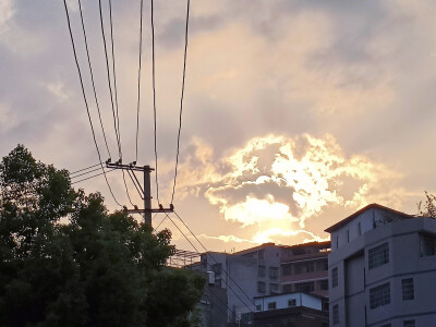 那些宿宿不眠的挑灯夜读 和满柜书籍的灯塔 驱散了大雾迷茫的前方 催促了前程花海的盛放 知识的海洋里本没有岸 大抵是刷的题和下的笔多了 便硬生生为自己铺出来了一条岸 待到秋来九月八 我花开后百花杀。