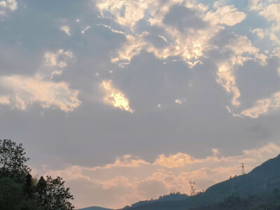 那些宿宿不眠的挑灯夜读 和满柜书籍的灯塔 驱散了大雾迷茫的前方 催促了前程花海的盛放 知识的海洋里本没有岸 大抵是刷的题和下的笔多了 便硬生生为自己铺出来了一条岸 待到秋来九月八 我花开后百花杀。