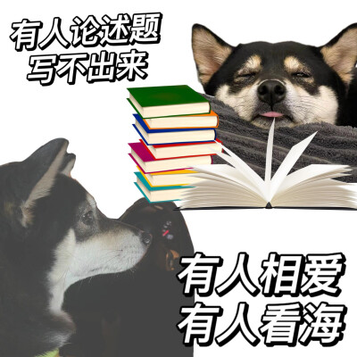 学习表情包
cr:柴犬yoyo