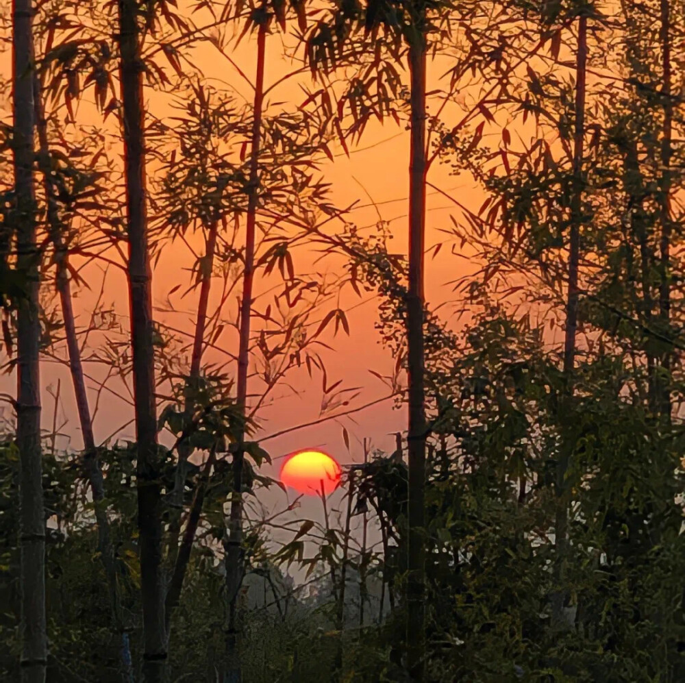 夕阳 黄昏 日出 日落