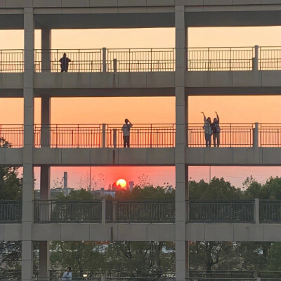 夕阳 黄昏 日出 日落