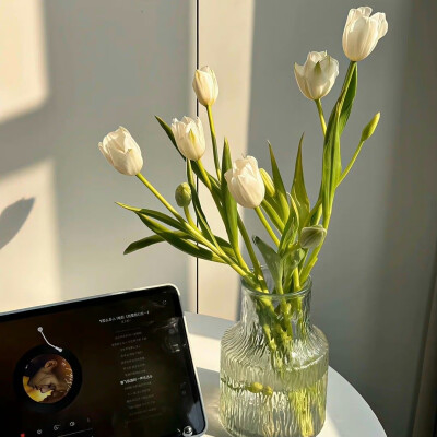 朋友圈背景 壁纸