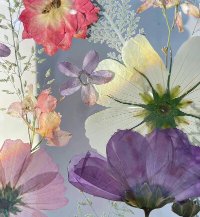 朋友圈背景 壁纸