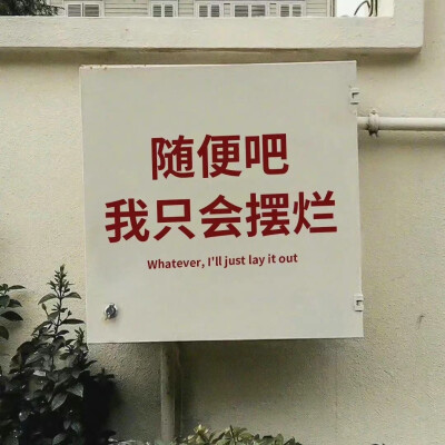 文字背景图
cr.wb当手机爱上壁纸啊