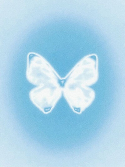 butterfly~(//∇//)