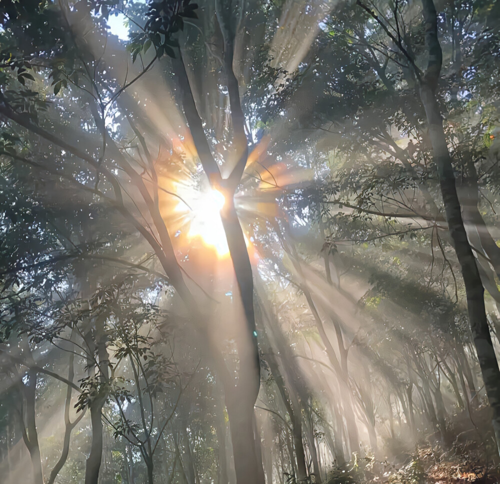 朋友圈背景图