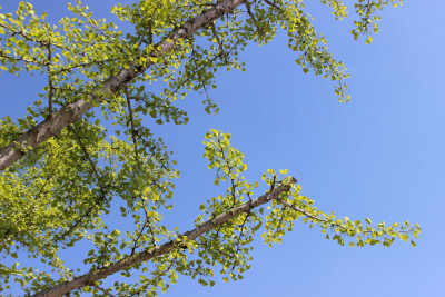 人生总有不期而遇的温暖，和生生不息的希望——高宁