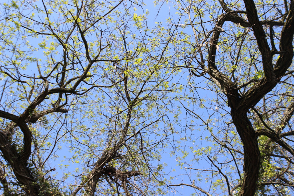 人生总有不期而遇的温暖，和生生不息的希望——高宁