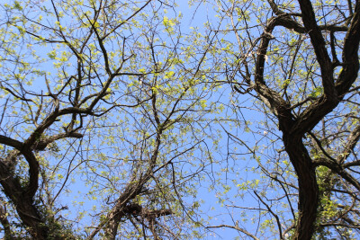人生总有不期而遇的温暖，和生生不息的希望——高宁
