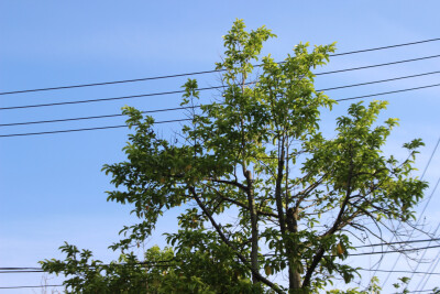 人生总有不期而遇的温暖，和生生不息的希望——高宁