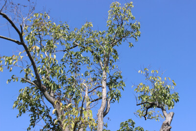 人生总有不期而遇的温暖，和生生不息的希望——高宁