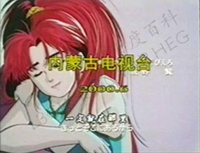 2000年6月《中华小当家》大陆版在内蒙古电视台播出 
​大陆引进《中华一番》，命名为《中华小当家》。由内蒙古电视台于2000年6月引进。