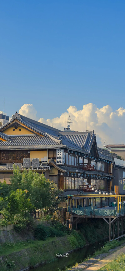 壁纸 kelvin李