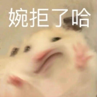 表情