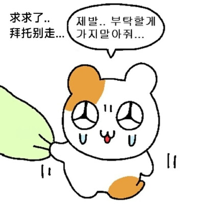 杂集憨憨表情包