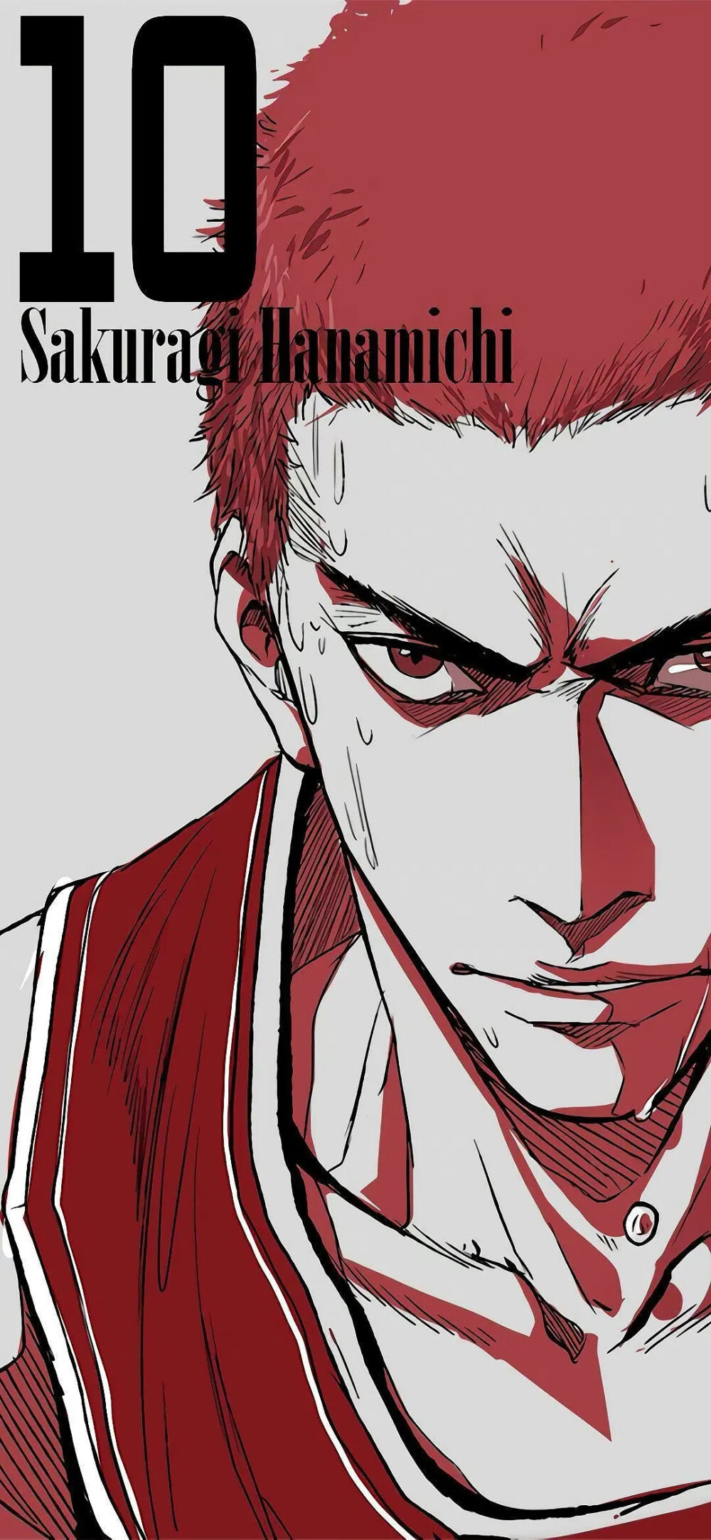 手机壁纸 x 灌篮高手