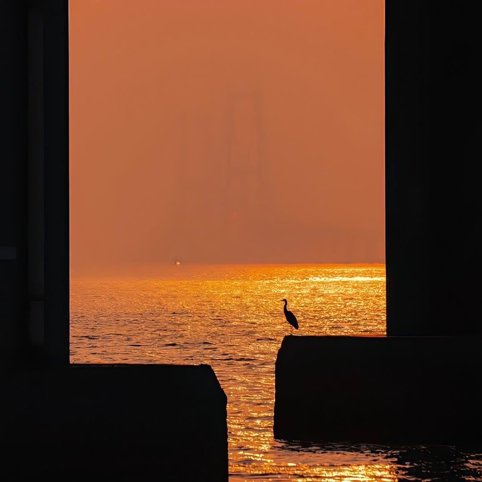 背景图