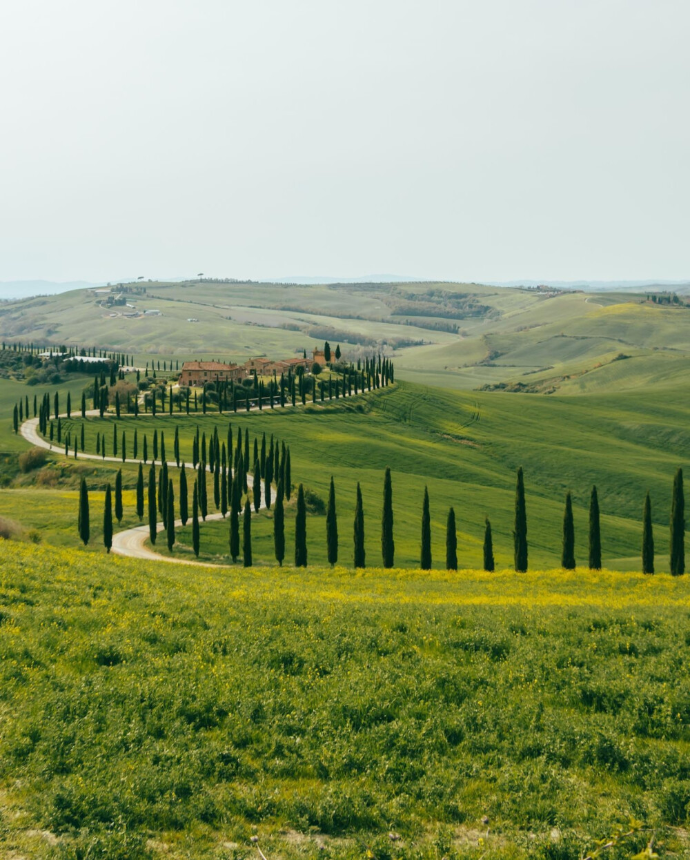 托斯卡纳 Crete Senesi, Tuscany
ins@donquiellumbera_