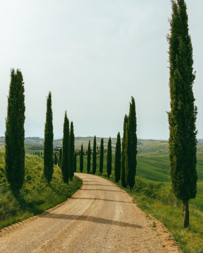 托斯卡纳 Crete Senesi, Tuscany
ins@donquiellumbera_