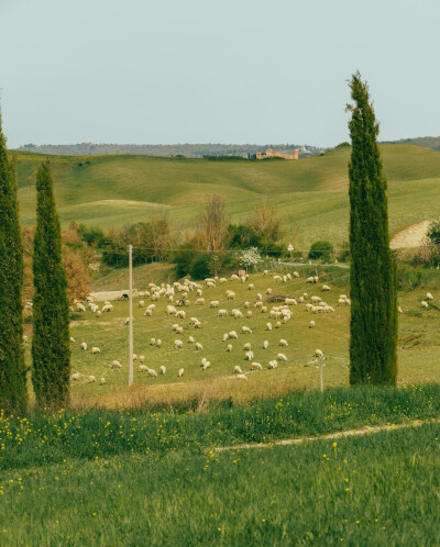 托斯卡纳 Crete Senesi, Tuscany
ins@donquiellumbera_