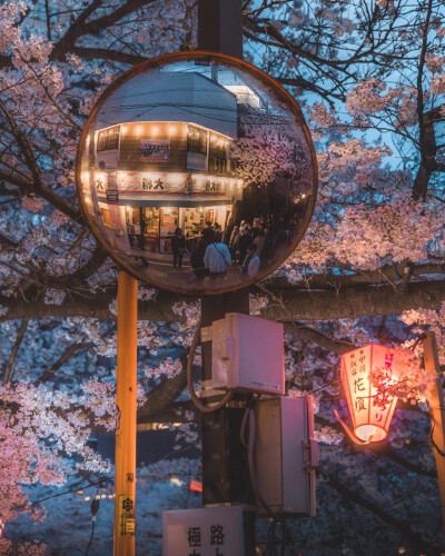 日本东京目黑区中目黑樱花 Nakameguro sakura
ins@tokyo_streets_shots