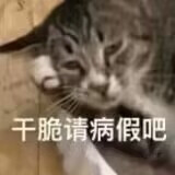 猫咪表情包