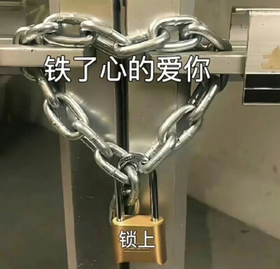 表情包来一波